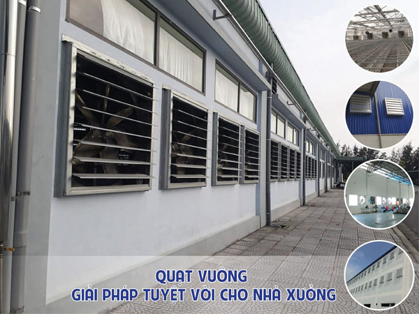 Quạt hút công nghiệp vuông với nhiều ưu điểm và ứng dụng