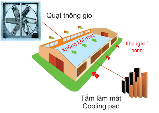 Quạt hút công nghiệp vuông kết hợp với tấm Cooling Pad