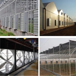 Ứng dụng Quạt hút công nghiệp lắp cho trang trại